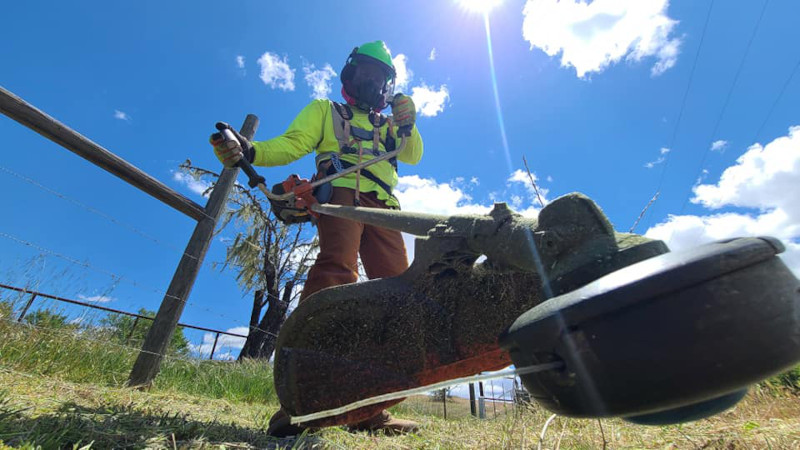 weed whacking