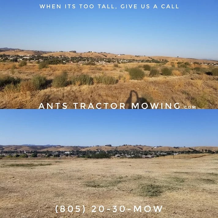 san luis obispo abatement mowing