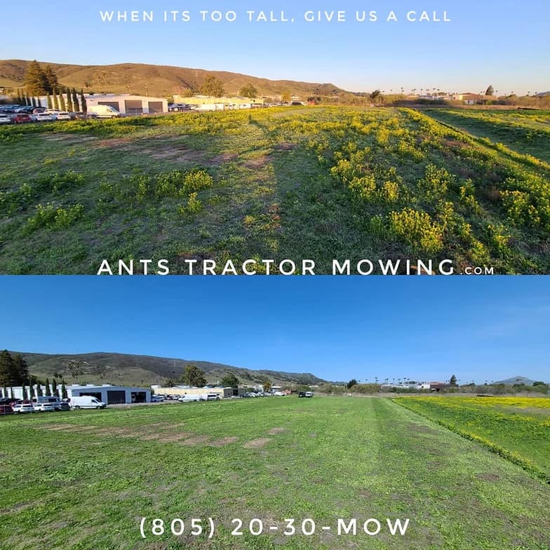 avila beach weed abatement, CA