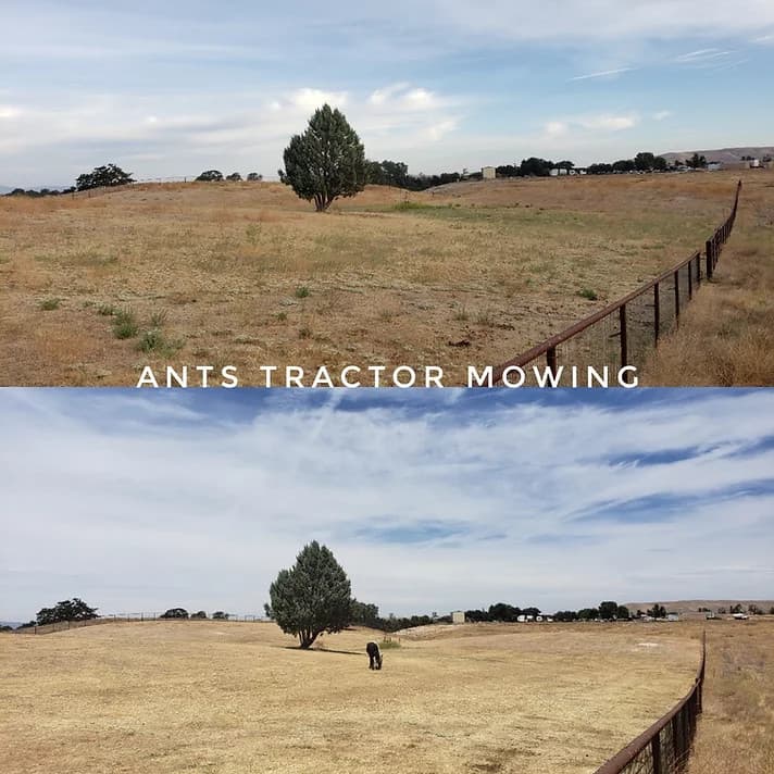 san luis obispo abatement mowing