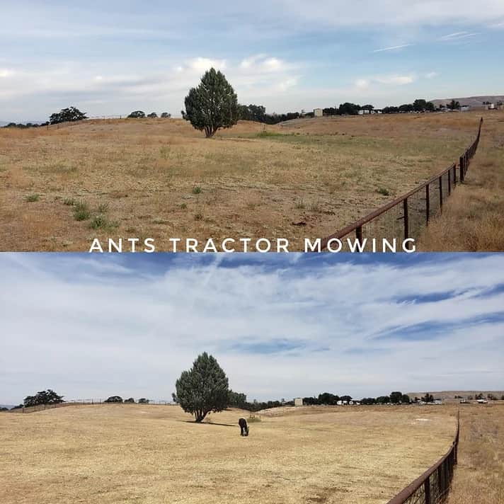 paso robles abatement