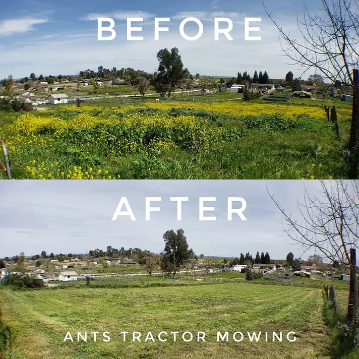 san luis obispo abatement mowing