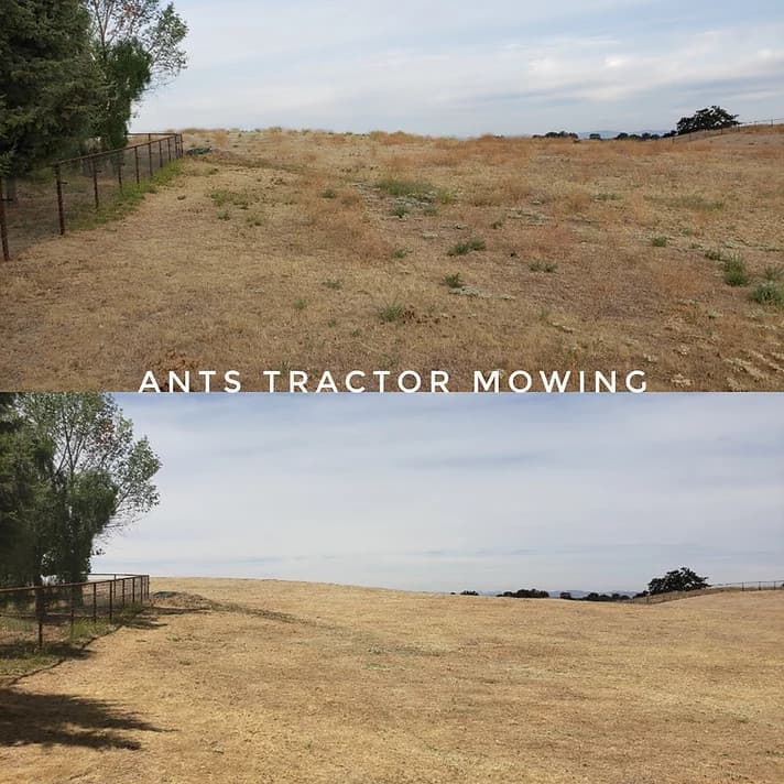 arroyo grande weed abatement