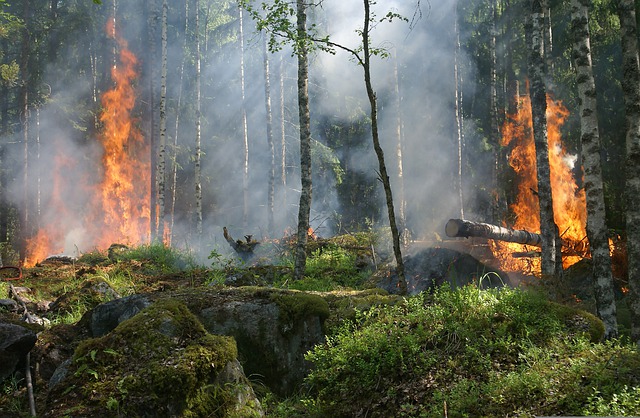 San Luis Obispo weed abatement service releases ‘Understanding California fire season’